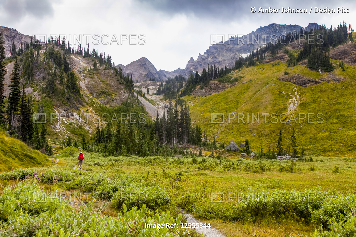 Man hiking in Royal Basin, Olympic Mountains, Olympic National Park; ...
