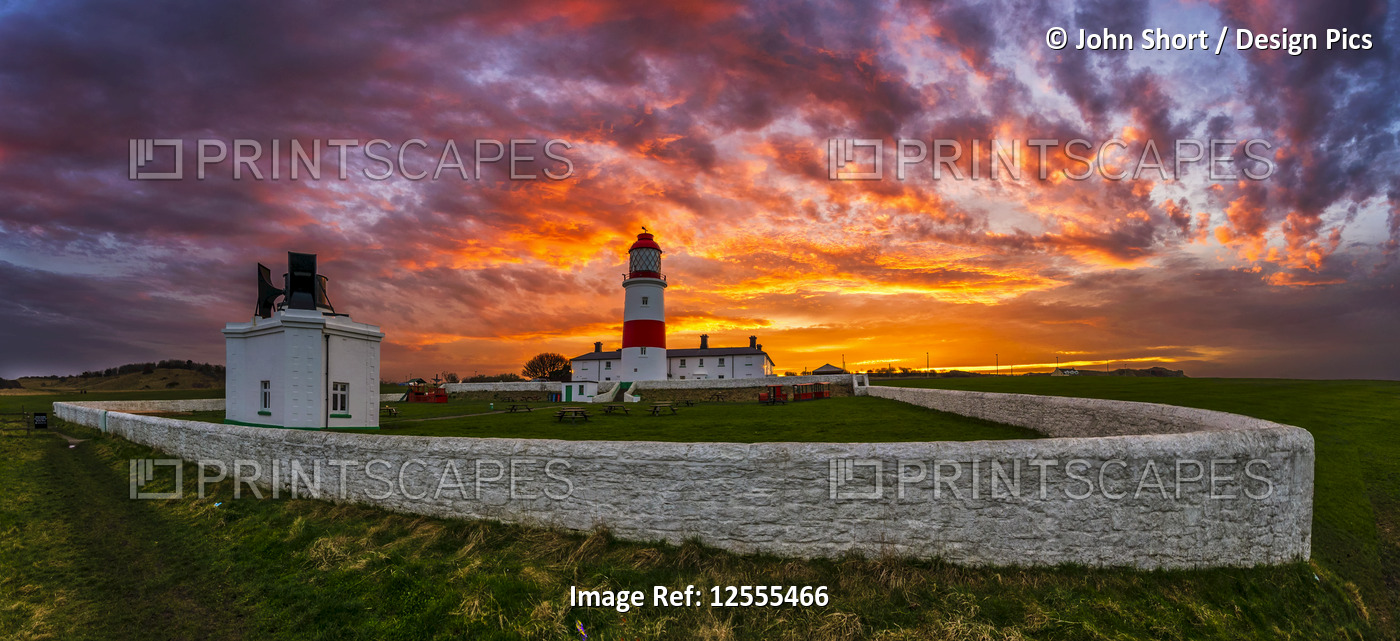 Souter Lighthouse at sunset with glowing, colourful sunset sky; South Shields, ...