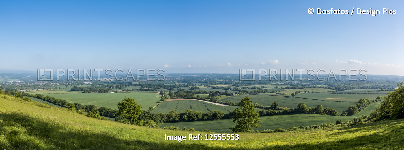 Lush green fields of farmland with blue sky and horizon in the distance; ...