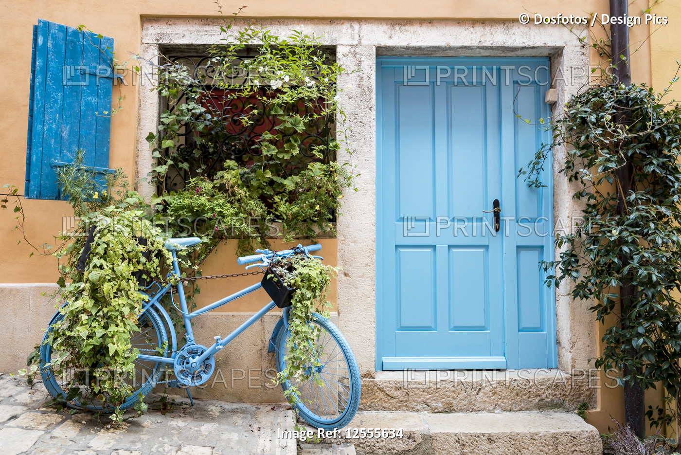 Blue bicycle displaying plants parked outside a house with a blue door on ...