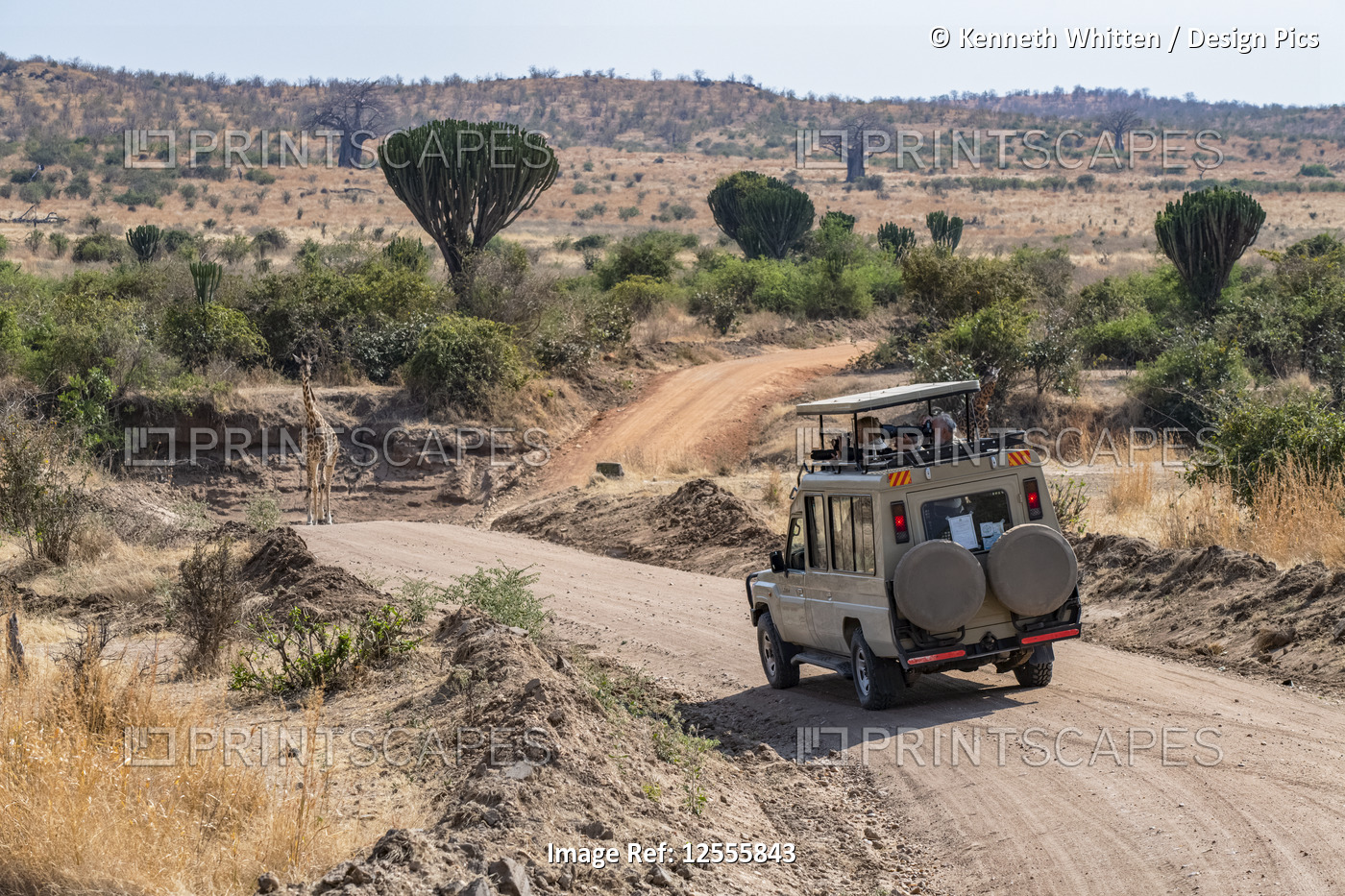 Safari vehicle on road in Ruaha National Park, Tanzania