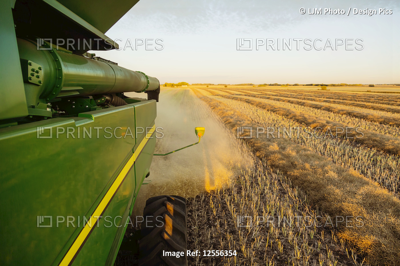Looking back on a combine while harvesting canola at sunset; Legal, Alberta, ...