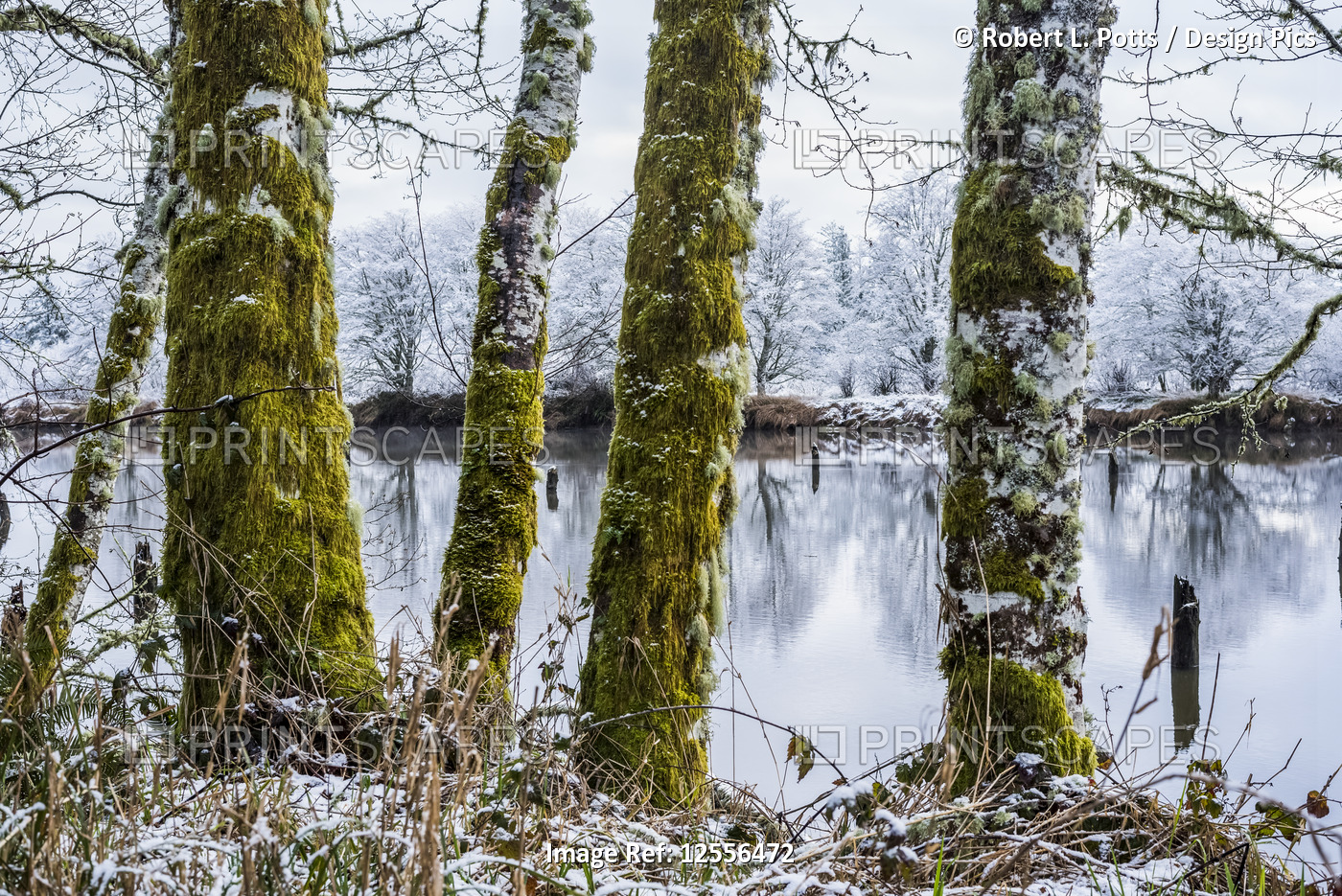 A dusting of snow falls at Lewis and Clark National Historical Park; Astoria, ...