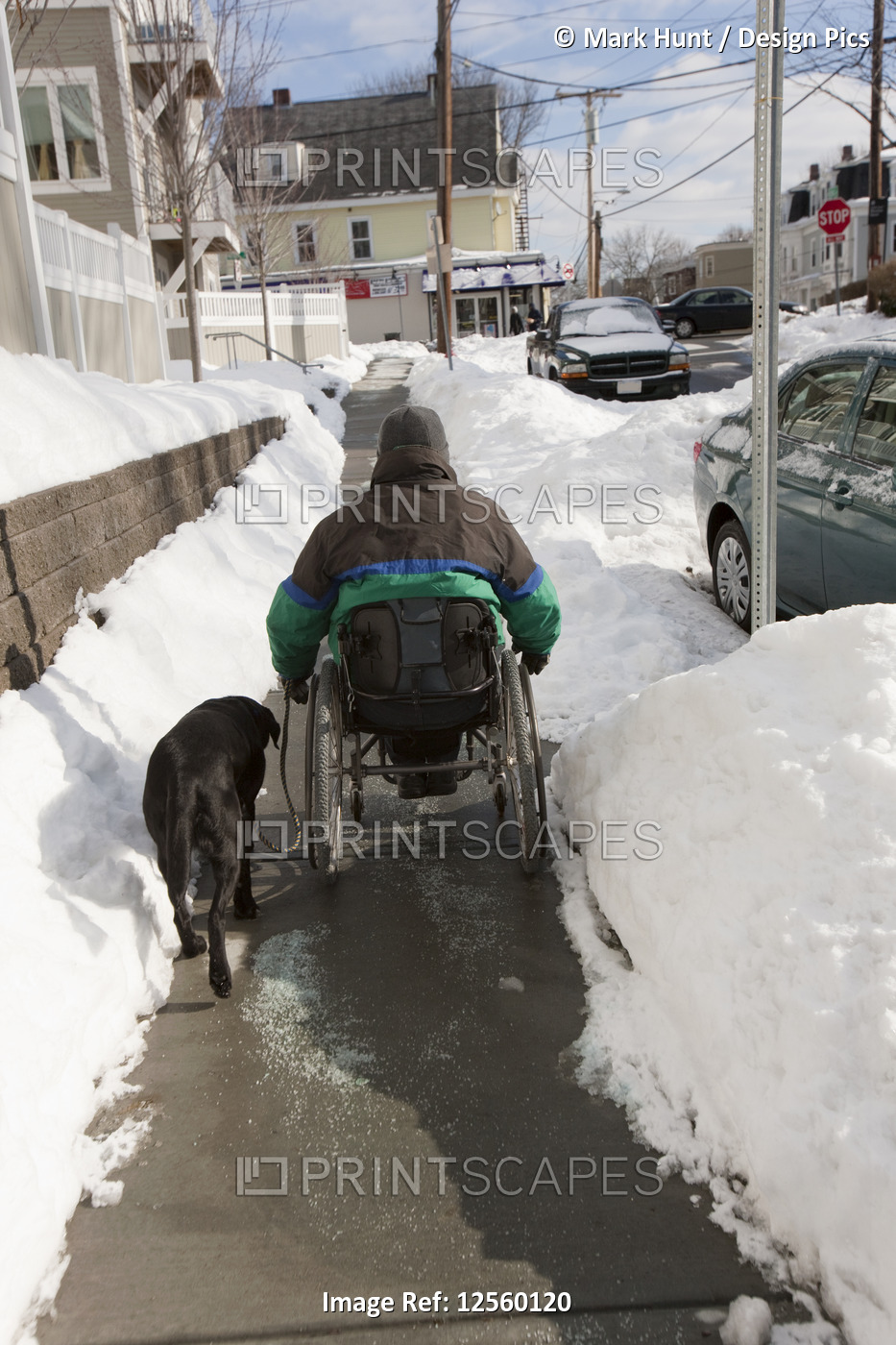 Woman with multiple sclerosis in a wheelchair with a service dog going up snowy ...