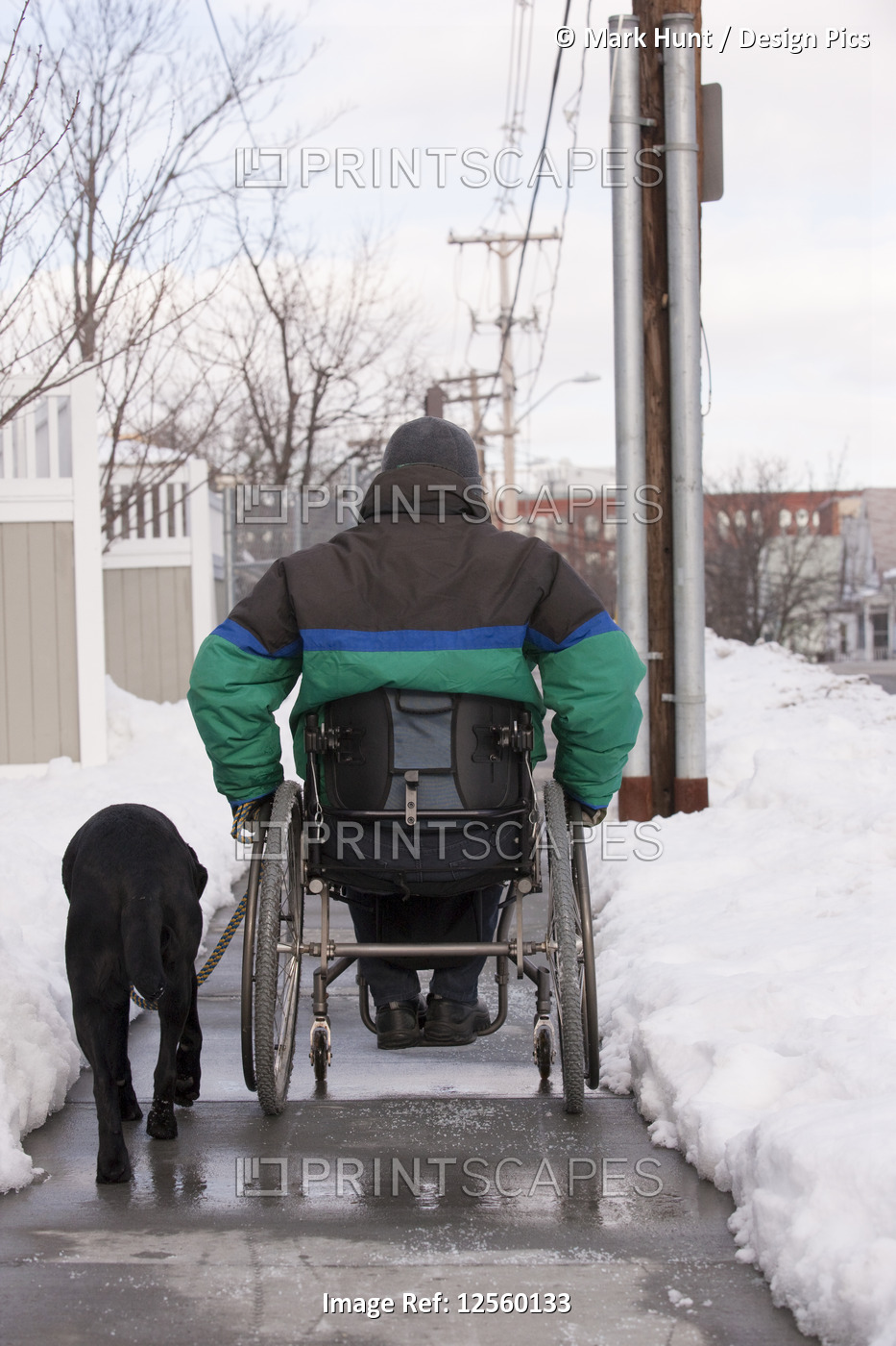 Woman with multiple sclerosis in a wheelchair with a service dog on a snowy ...