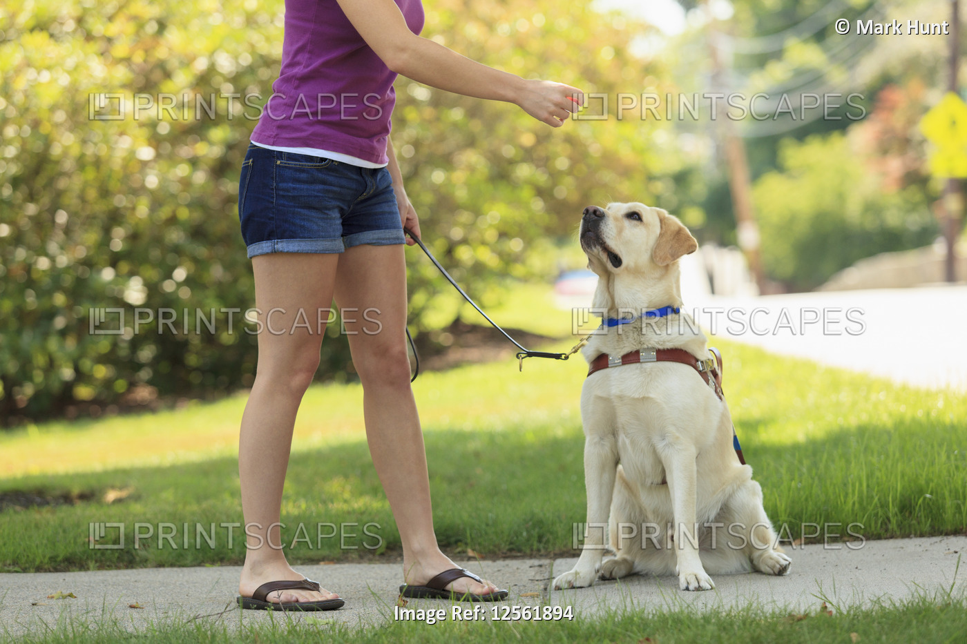 Woman with visual impairment giving a treat to her service dog
