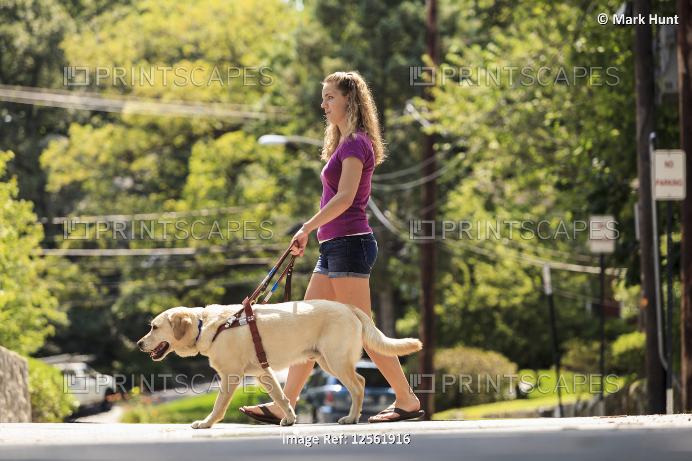 Student with visual impairment and her service dog crossing the street