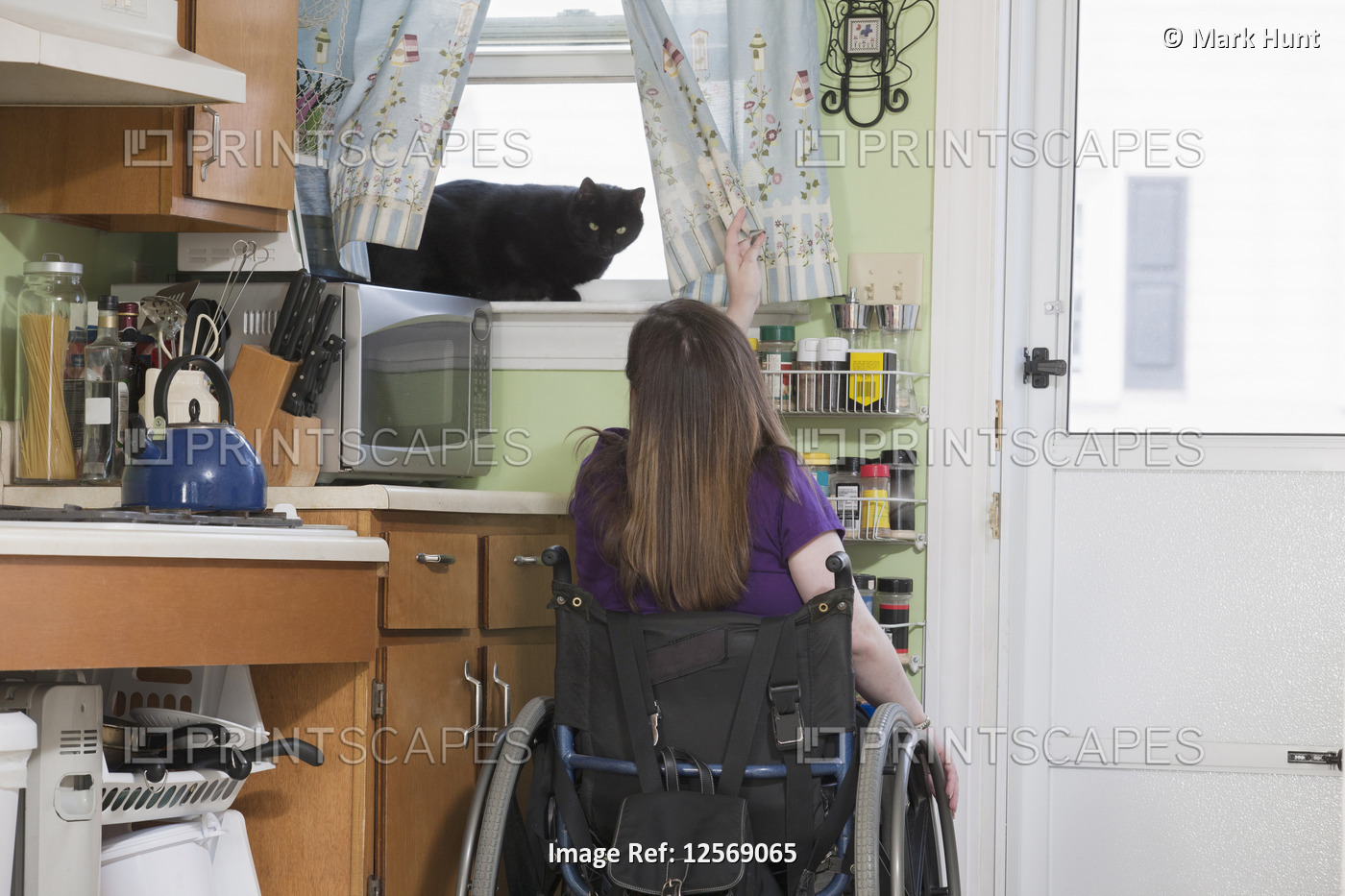 Woman with Spina Bifida in a wheelchair playing with a cat in the window of the ...