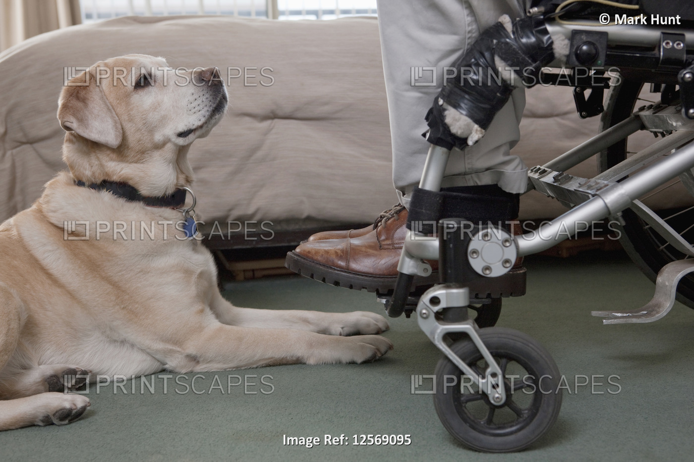 Man in a wheelchair with a Spinal Cord Injury with a service dog
