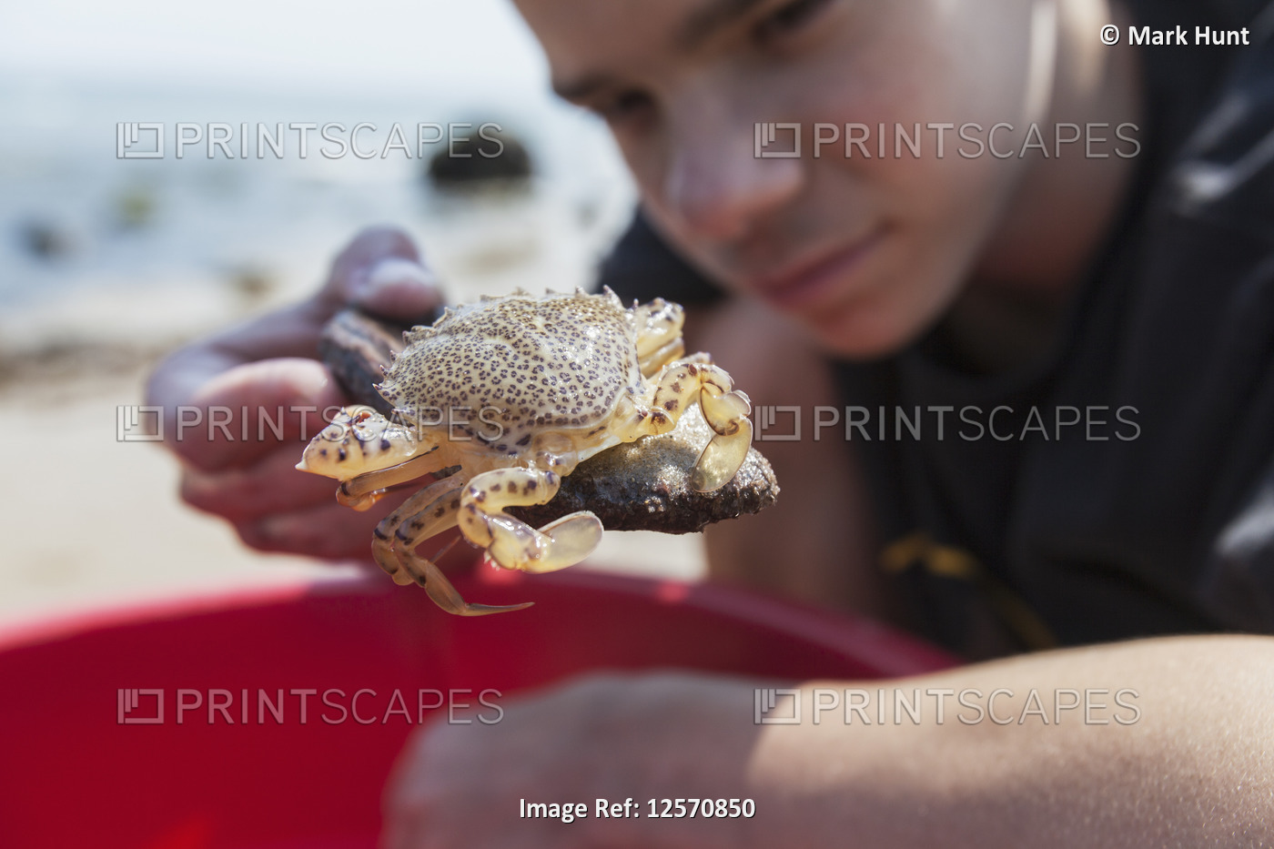 Teenage boy looking at a crab on the beach