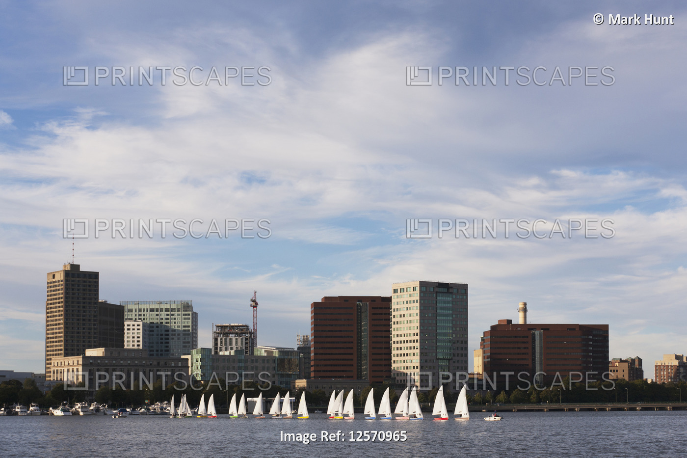 Sailboats in a river, Massachusetts Institute of Technology, Charles River, ...