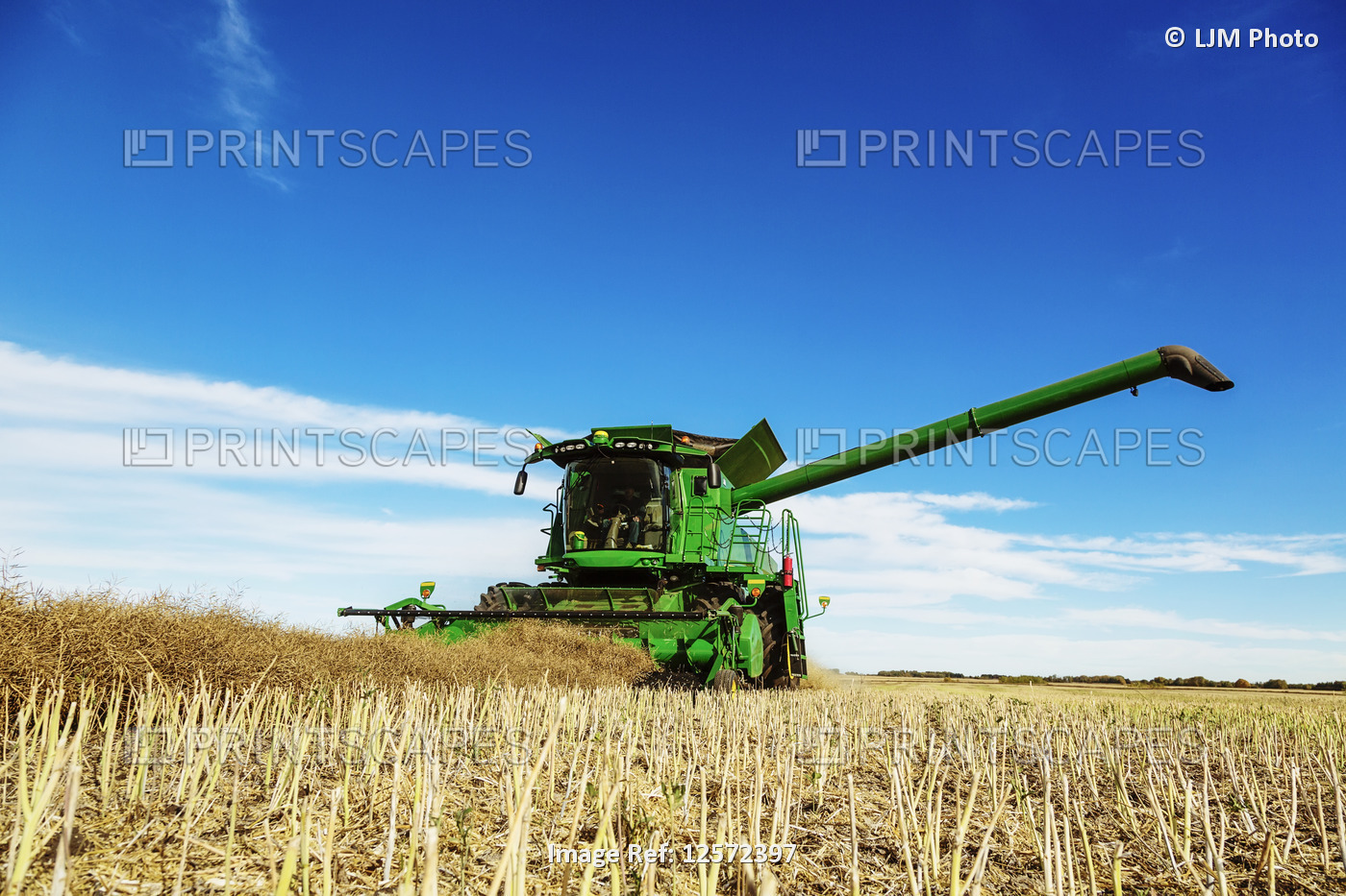 A farmer driving a combine with a full load ready to transfer with the auger ...