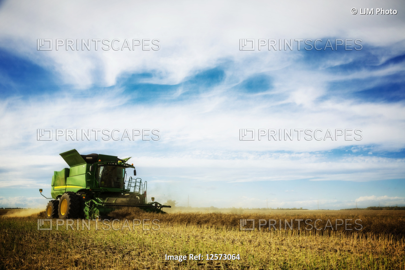 Side view of a farmer driving a combine during a canola harvest; Legal, ...