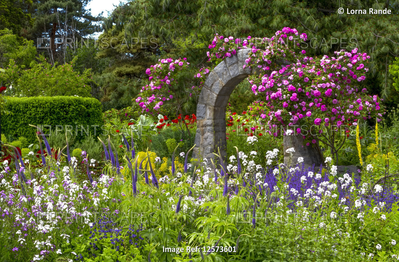 Flowers in bloom, VanDusen Gardens; Vancouver, British Columbia, Canada
