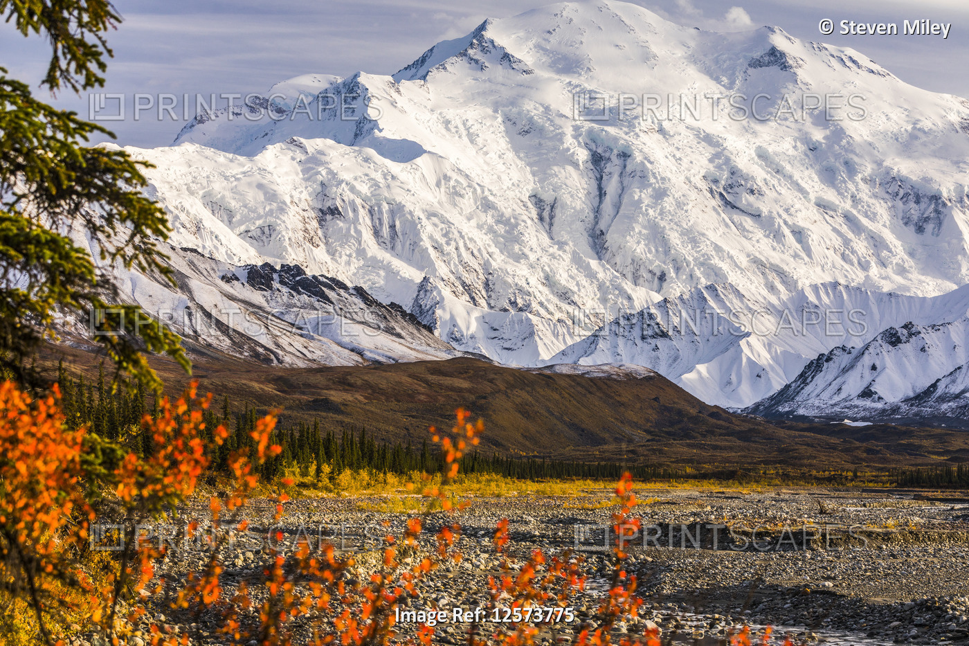 Denali shines above the Muddy River in autumn, viewed from near Peters Glacier ...