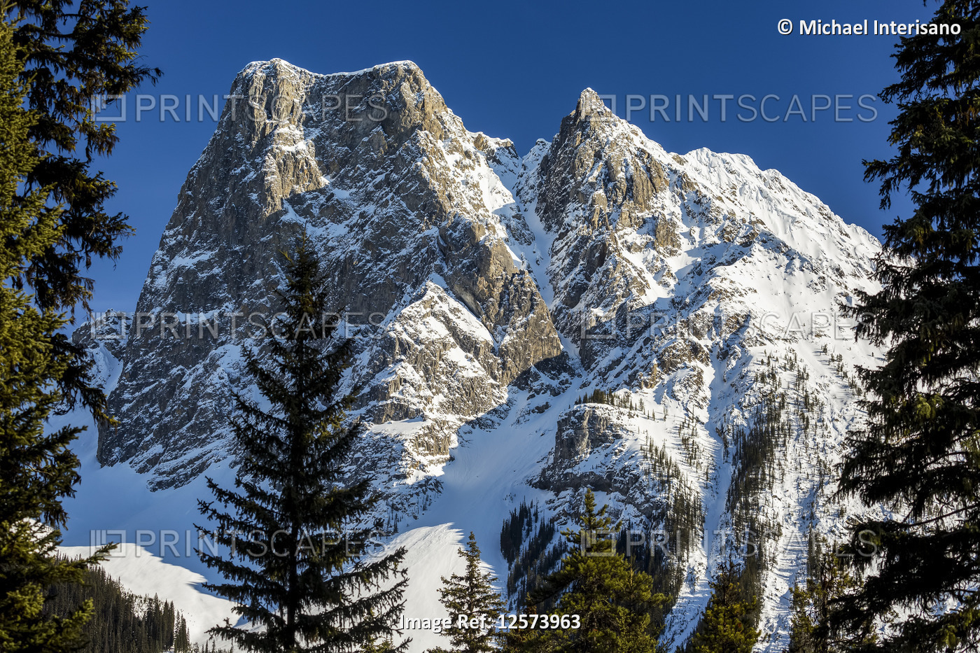 Snow-covered mountain peak framed by evergreen trees with blue sky; Field, ...