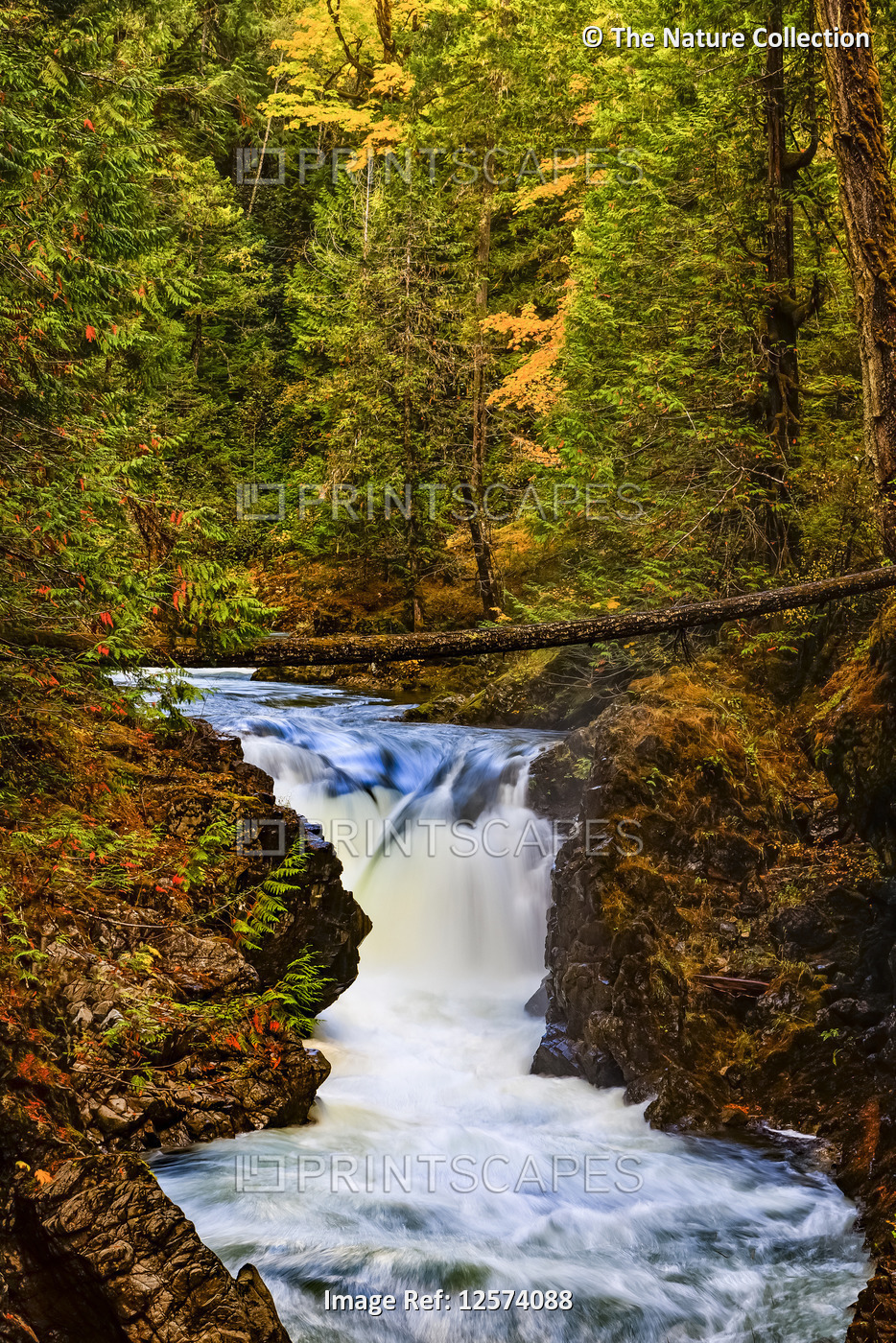 Qualicum Falls in a rainforest on Vancouver Island; British Columbia, Canada