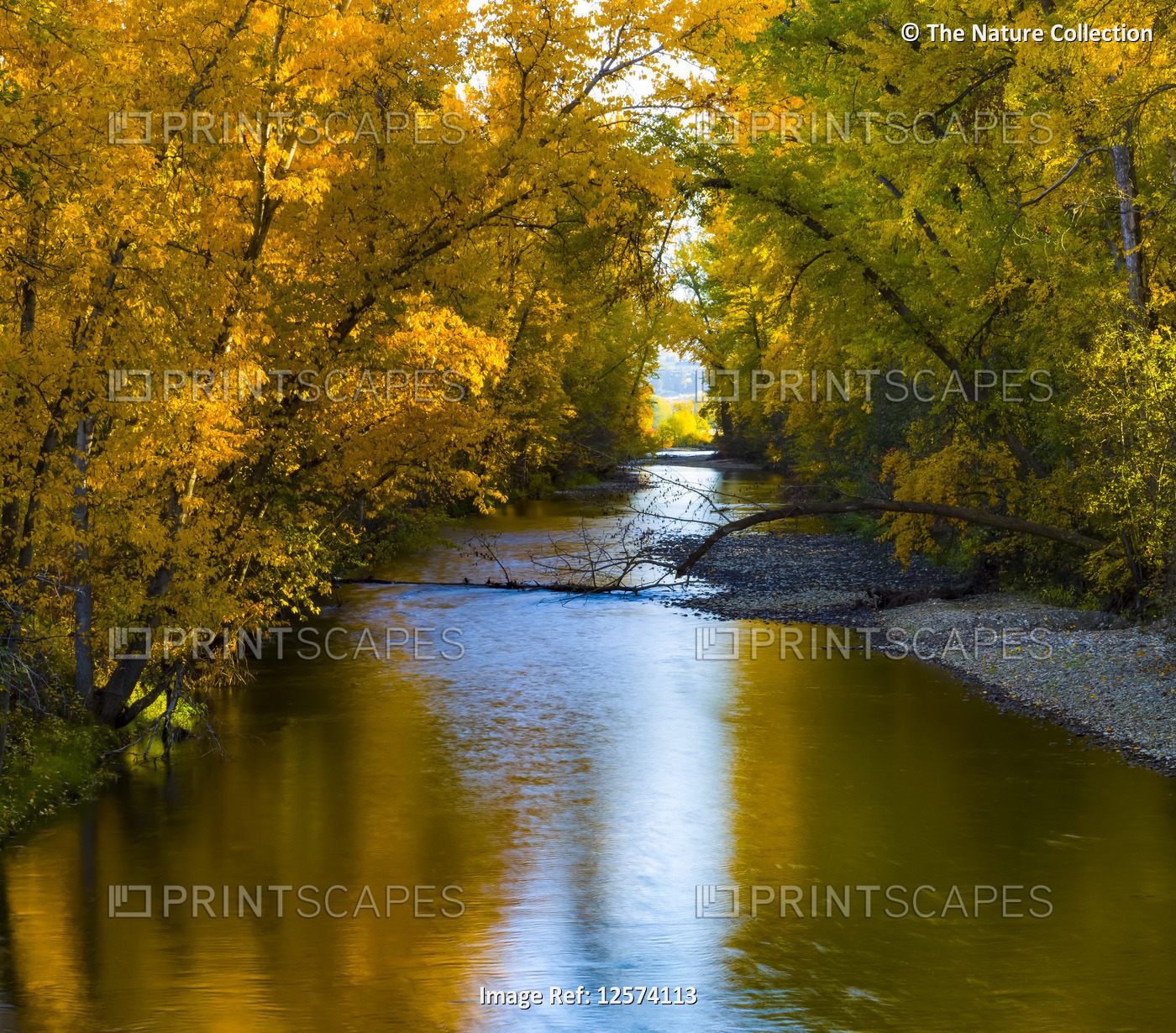 Autumn colours reflected on a tranquil Mission Creek; Kelowna, British ...
