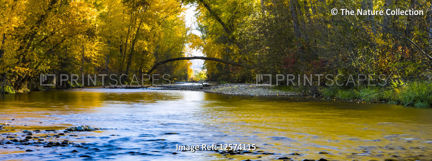 Autumn colours reflected on a tranquil Mission Creek; Kelowna, British ...