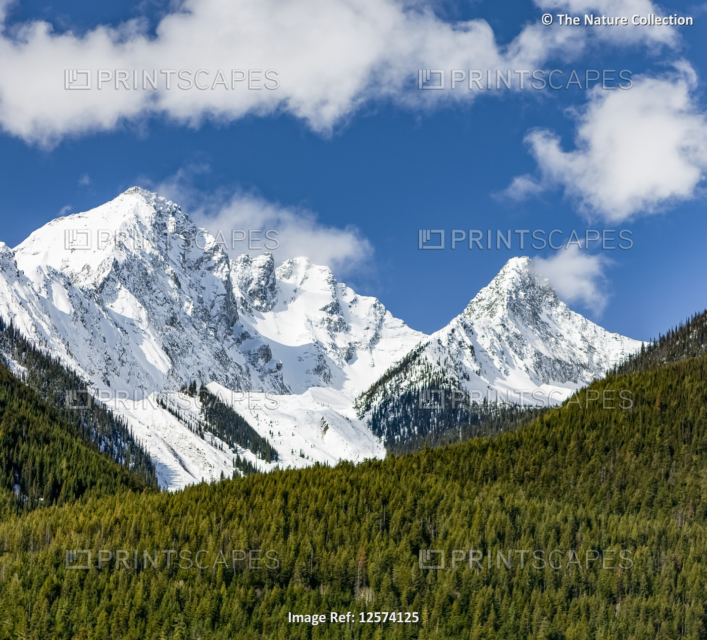 Snow-covered Rocky Mountains with rugged peaks and a forest in the foreground; ...
