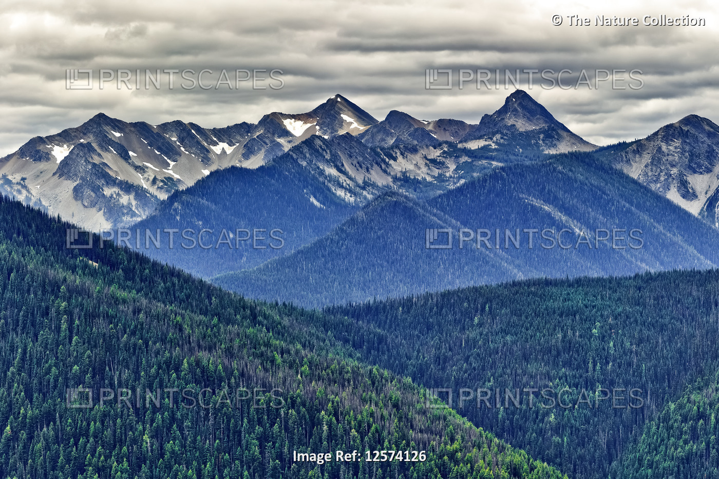 E.C. Manning Provincial Park and the Cascade Mountains; British Columbia, Canada