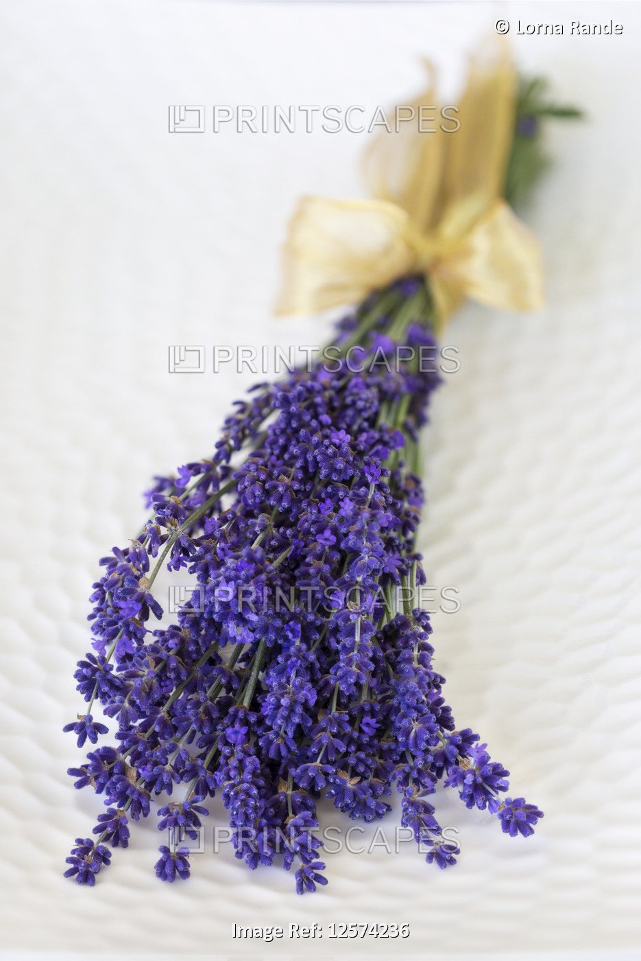 Cut lavender bundled with a gold bow and laying on a white textured surface