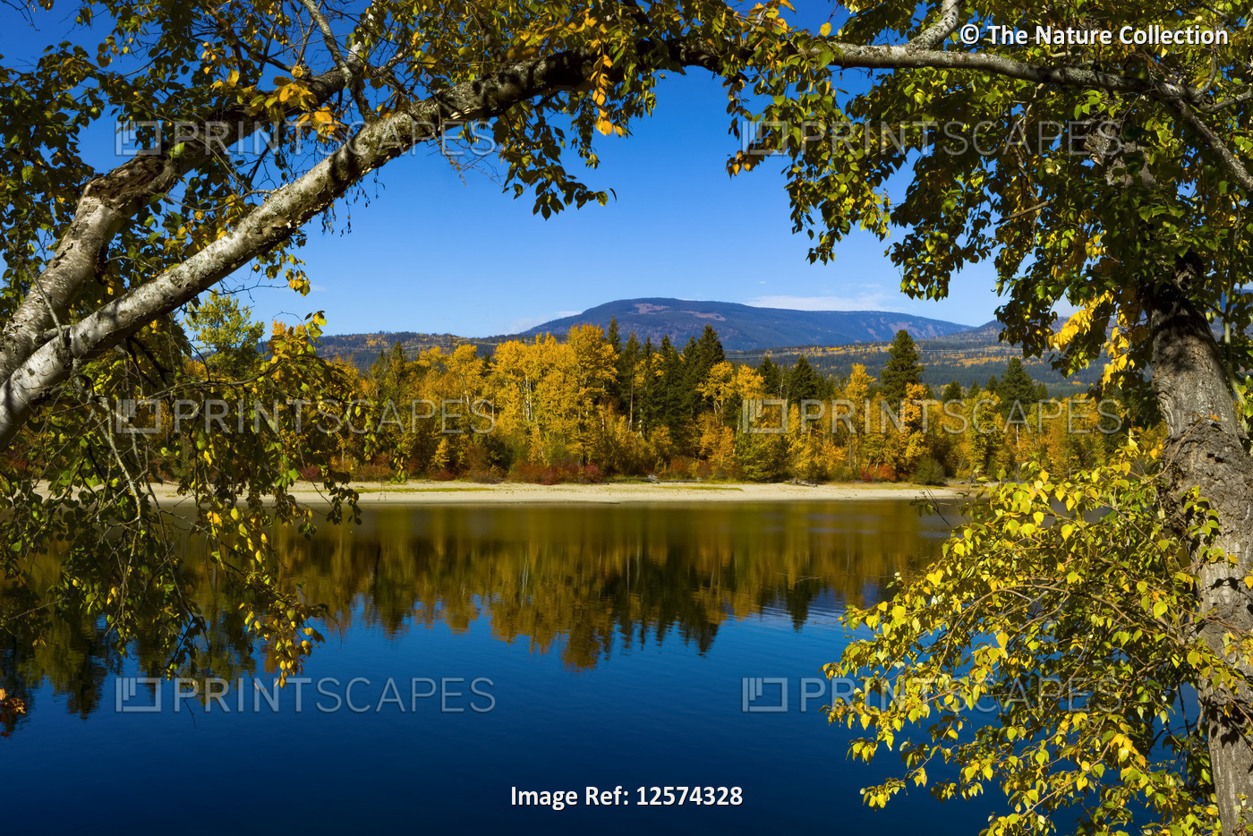 Autumn coloured forest along a tranquil lake in the Cascades; British Columbia, ...