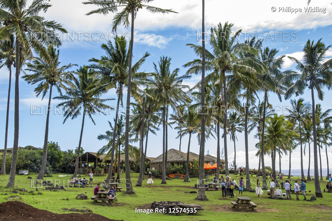 Large grassy park under palm trees with people at picnic tables; Easter Island, ...