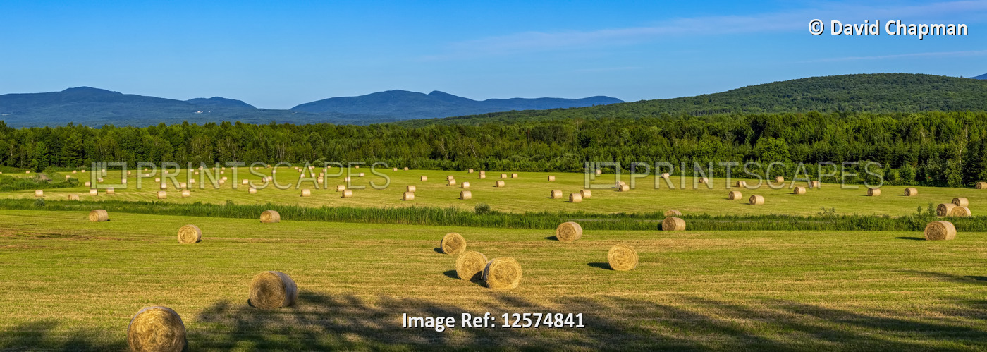 Panorama of round hay bales in a hay field with mountains and forest in the ...