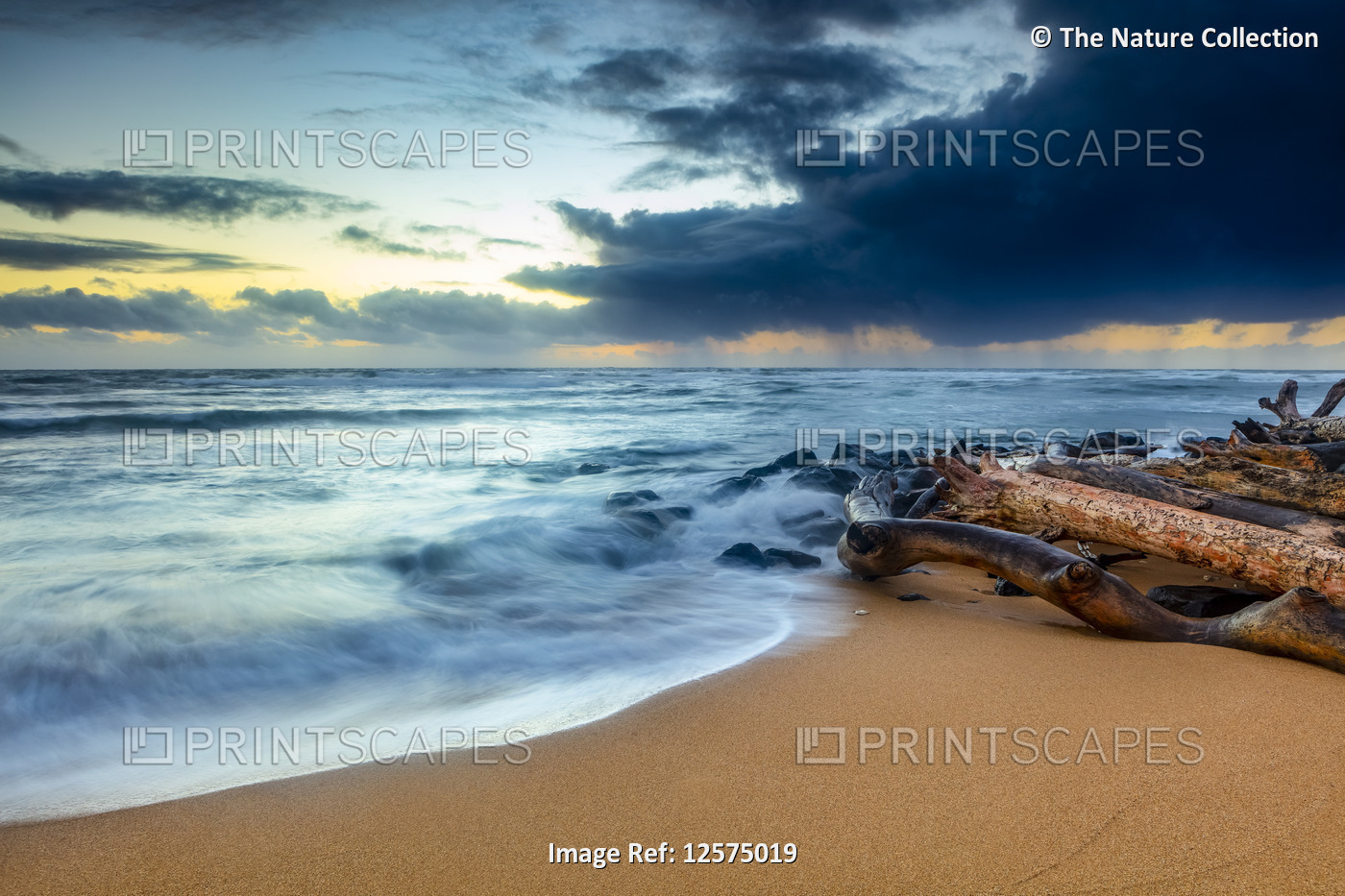 Sunrise over beach and ocean with a storm cloud and rain in the distance; ...