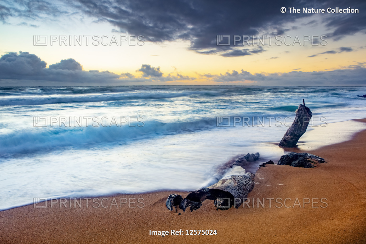 Sunrise over beach and ocean with tide washing up over sand and driftwood; ...
