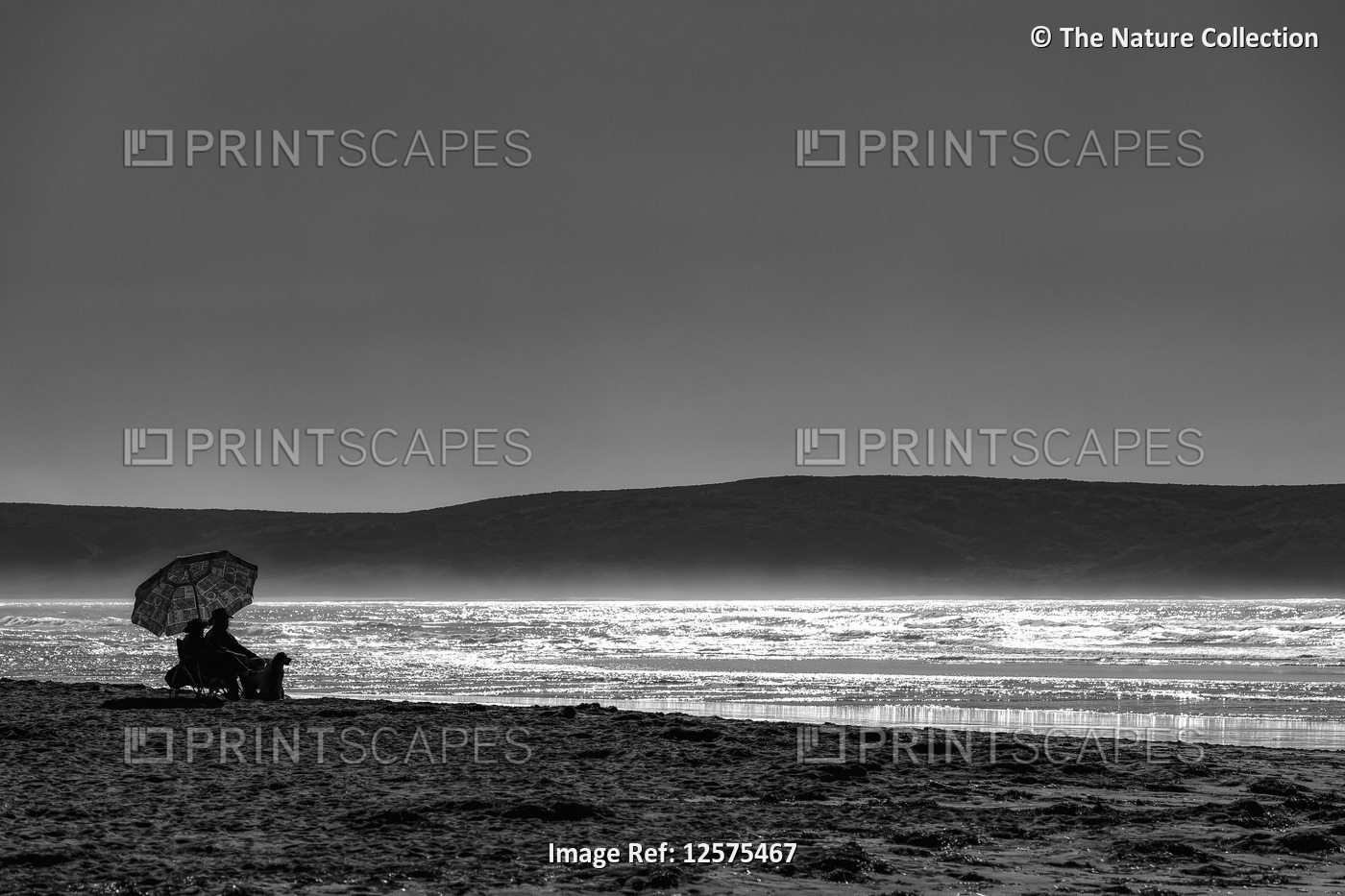 Black and white image of a couple sitting on Dillon Beach at the water's edge ...