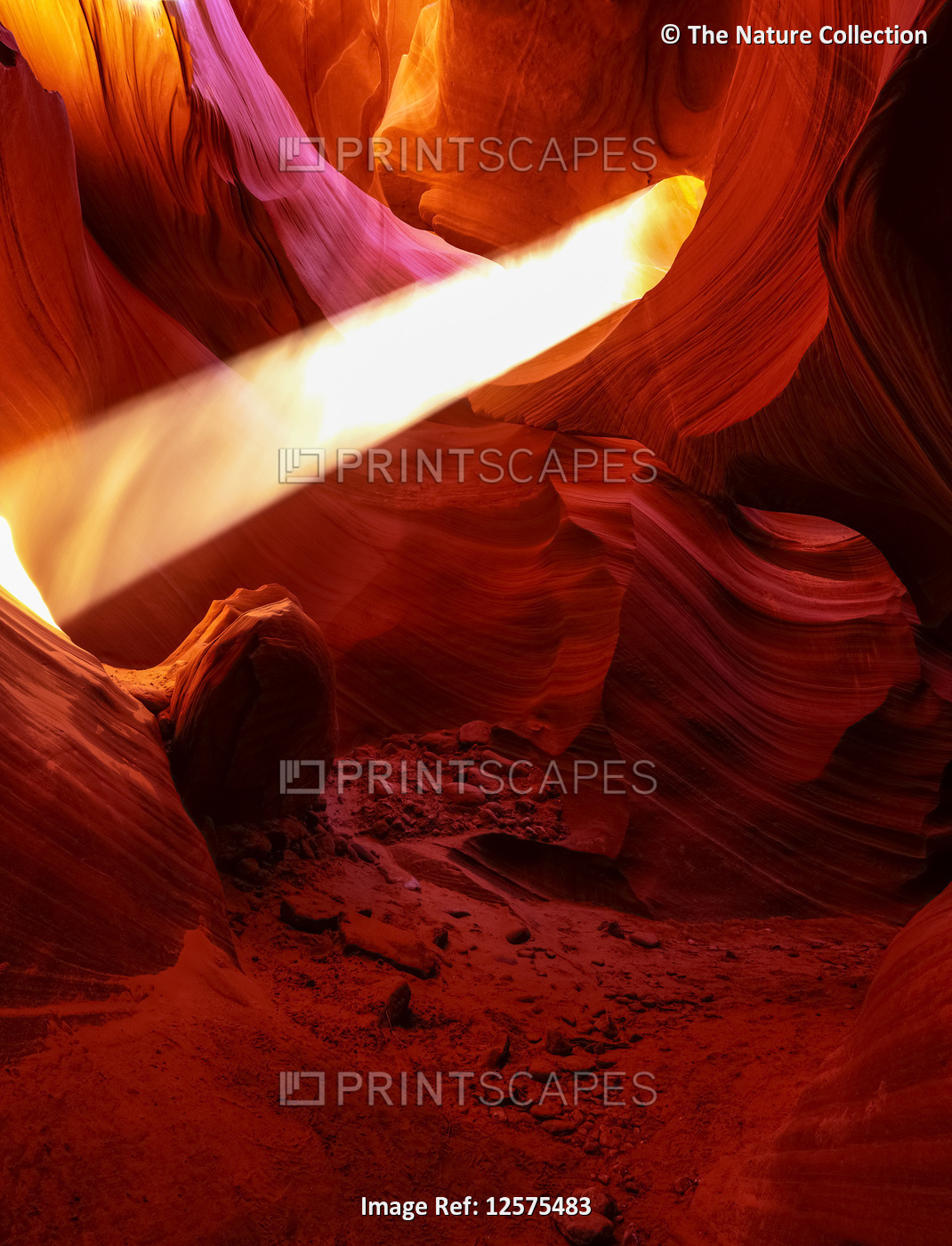 Lower Antelope Canyon with a beam of sunlight shining through a hole; Arizona, ...