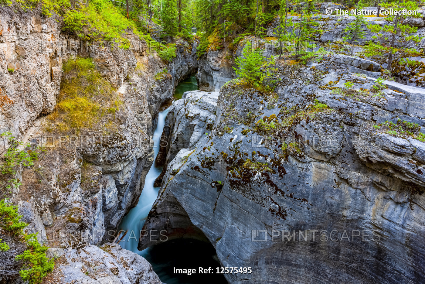 Waterfall, Jasper National Park; Alberta, Canada