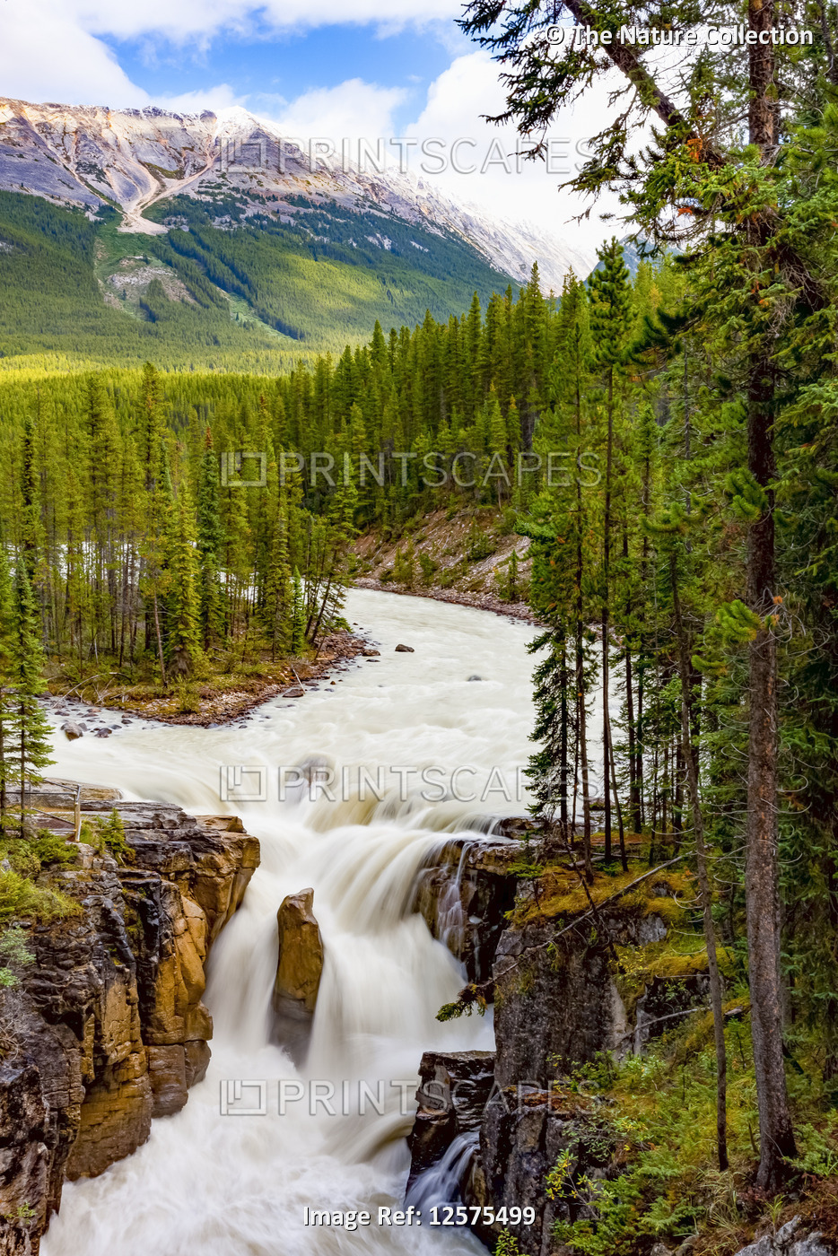 Sunwapta Falls, Sunwapta River, Jasper National Park; Alberta, Canada