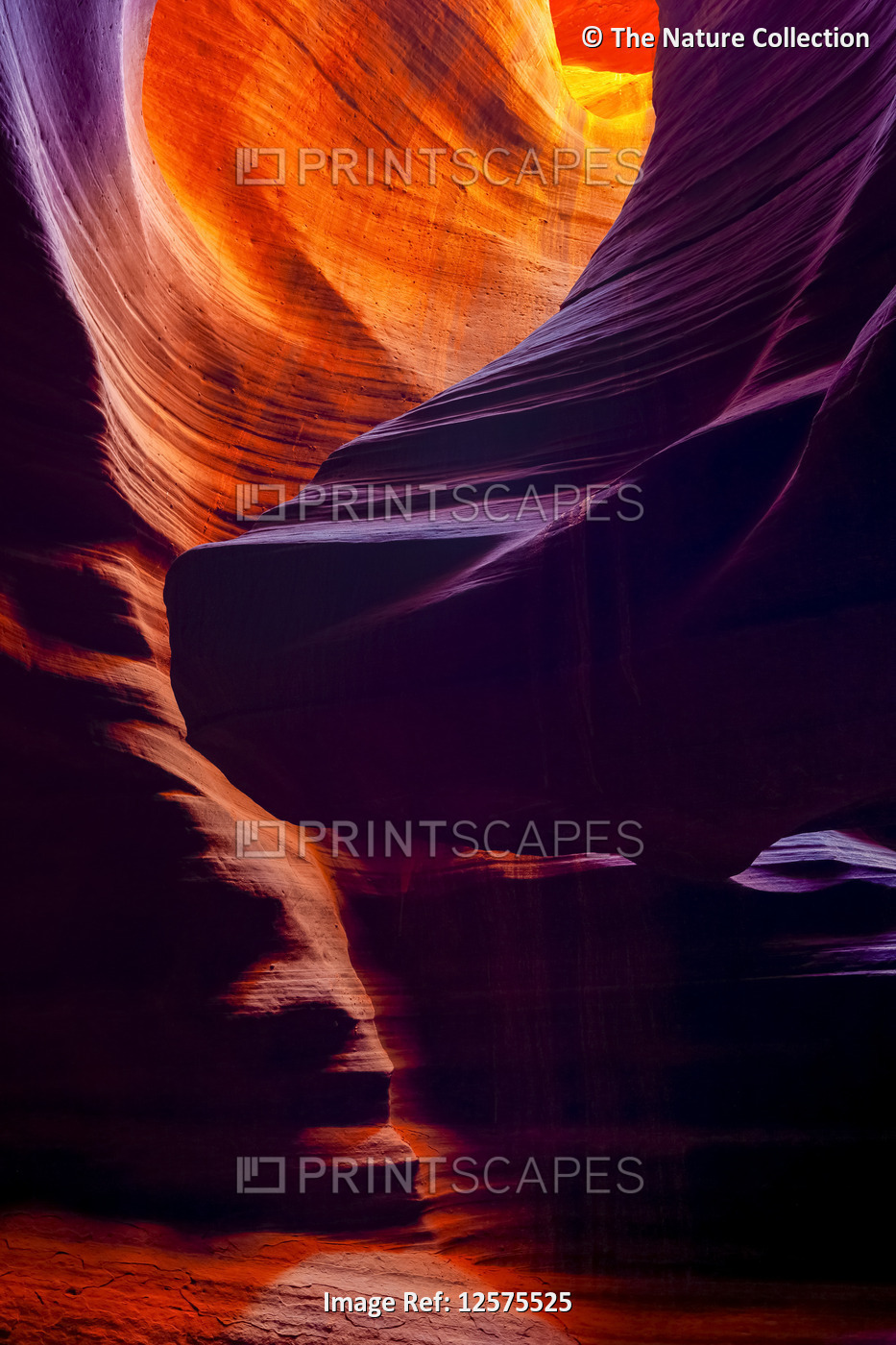 Upper Antelope Canyon; Arizona, United States of America
