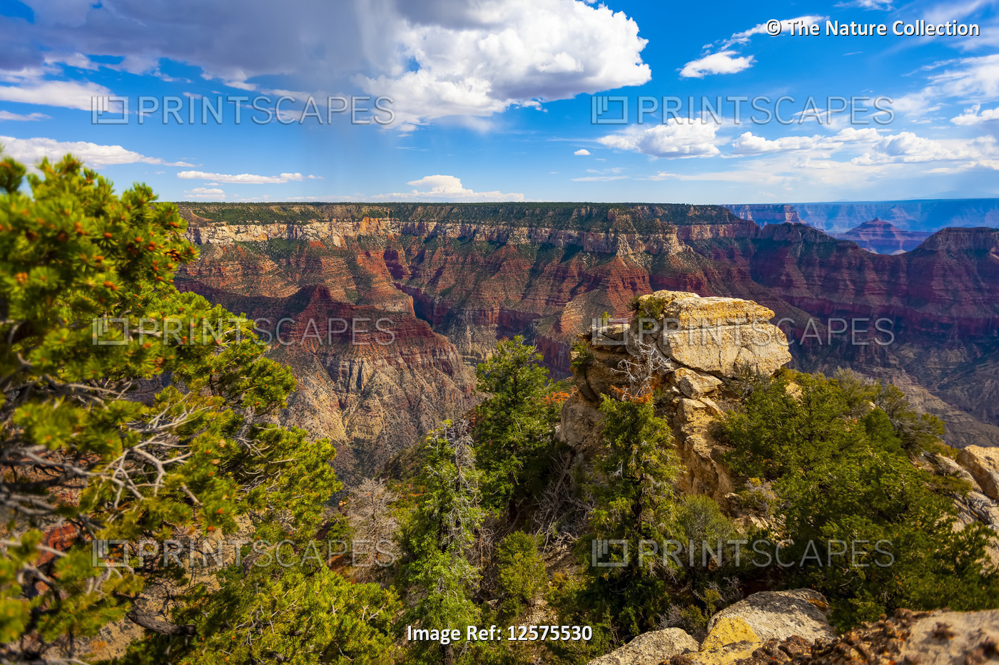North Rim, Grand Canyon, Grand Canyon National Park; Arizona, United States of ...