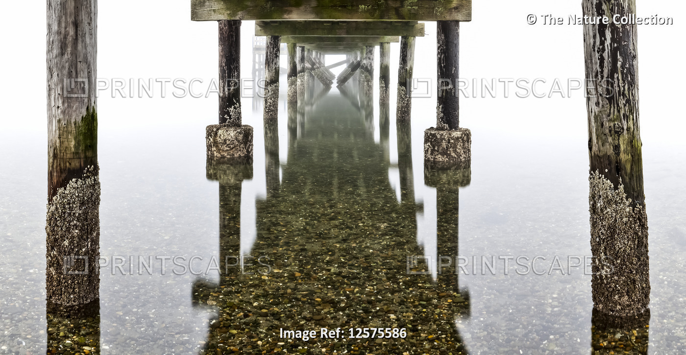 View underneath the pier on foggy Crescent Beach to the reflection on the ...