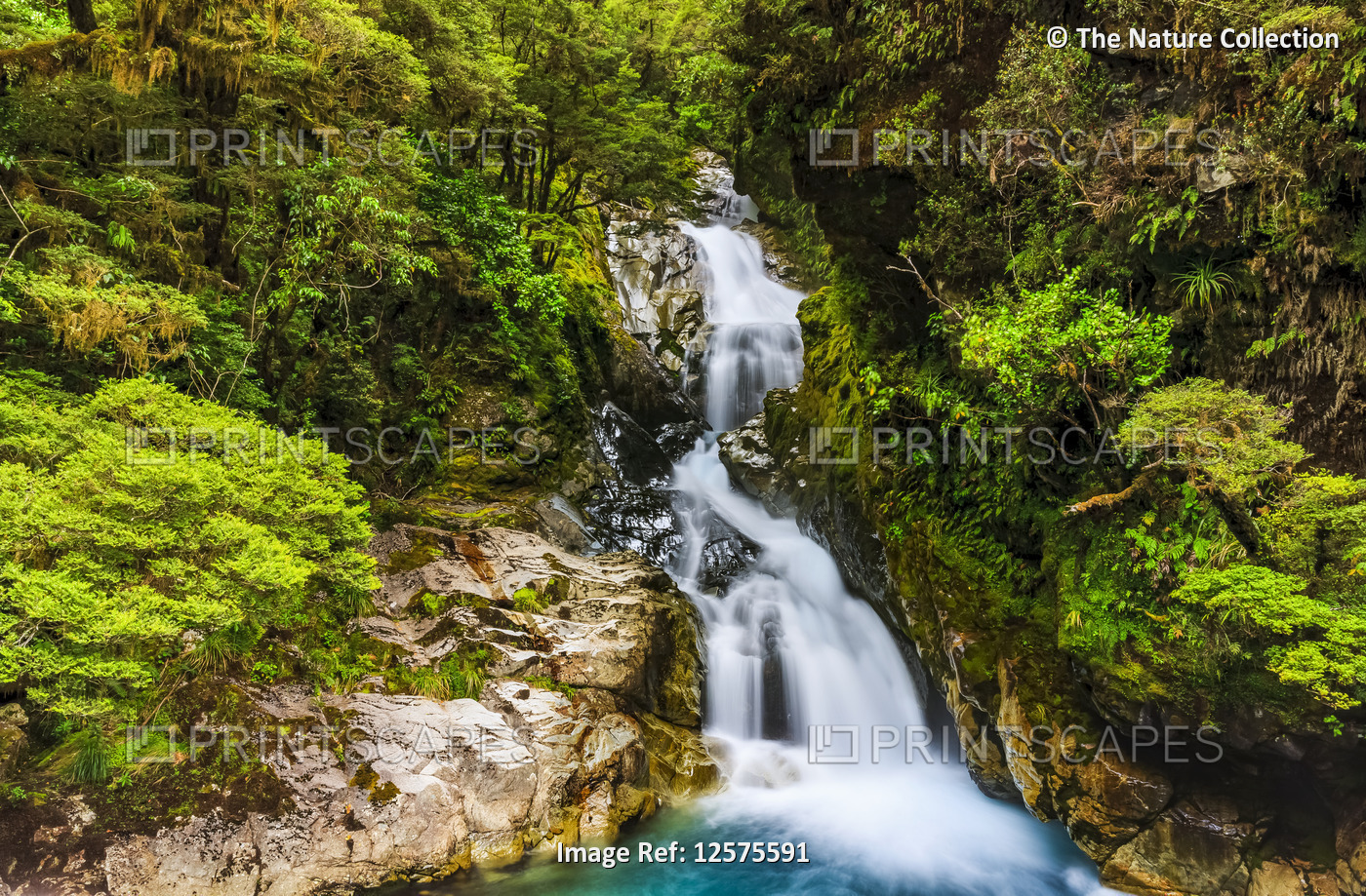 Waterfall with lush foliage near Milford Sound; South Island, New Zealand