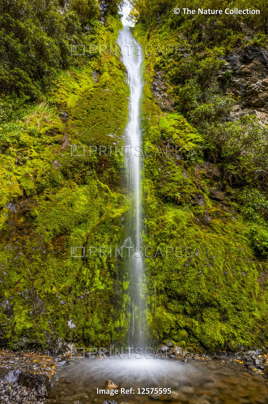 Dog Stream waterfall, Hanmer Springs; South Island, New Zealand