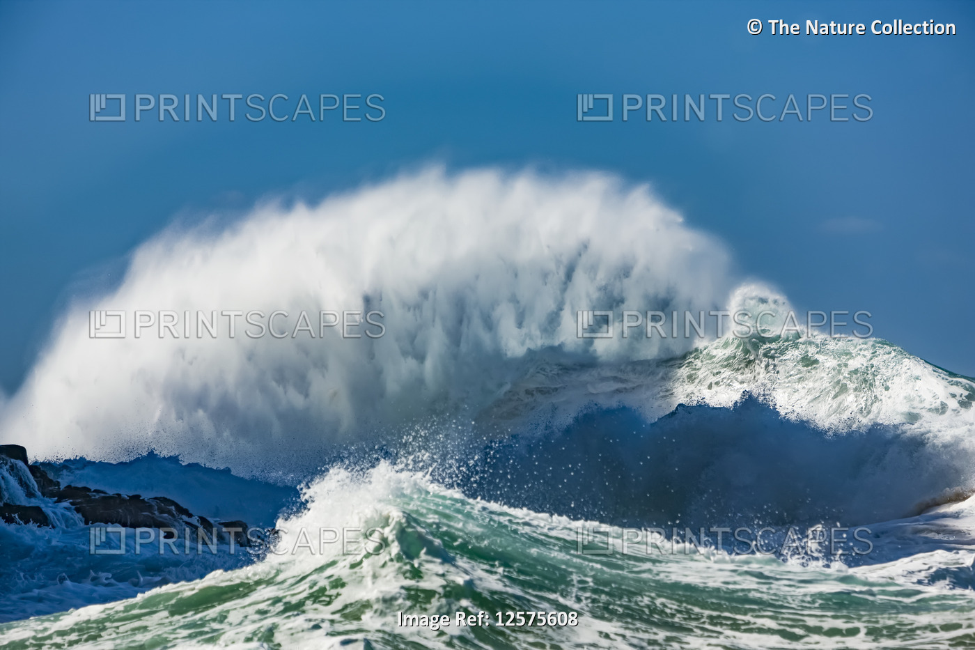 Crashing large wave against a blue sky; Hawaii, United States of America
