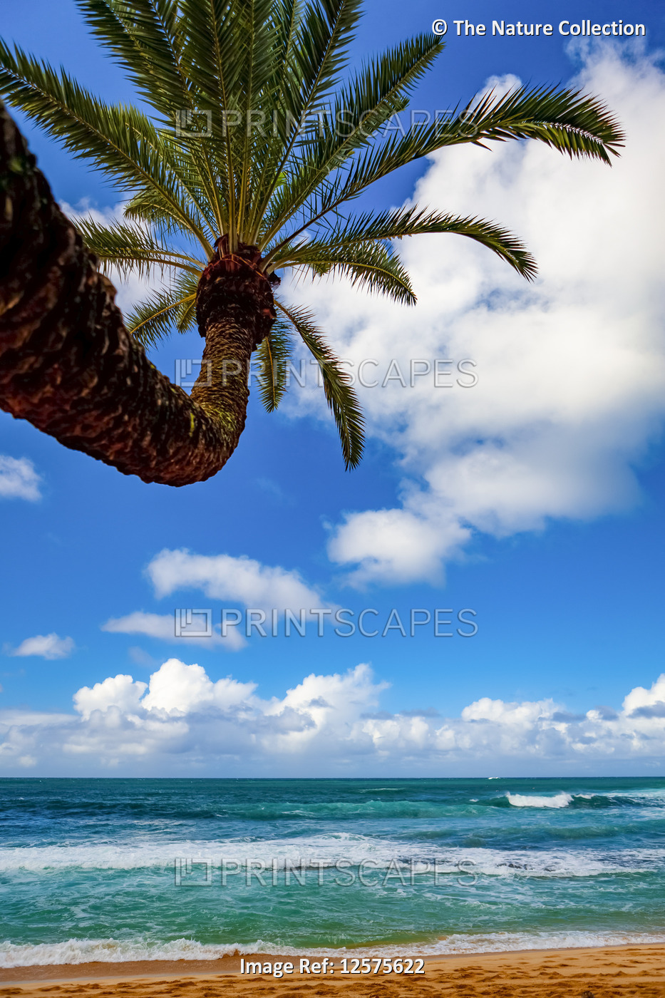 Tropical views of the Pacific Ocean from Waikiki Beach; Honolulu, Oahu, Hawaii, ...