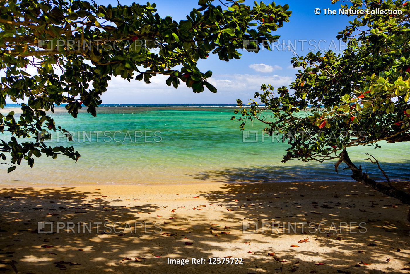 Anini Beach and the turquoise pacific ocean; Kauai, Hawaii, United States of ...