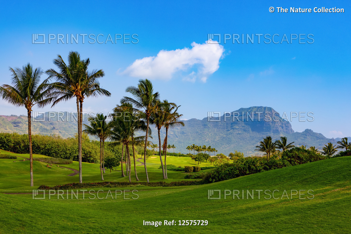 Golf course on a Hawaiian Island; Hawaii, United States of America