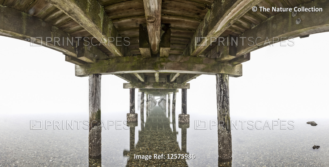 Underside of Crescent Beach pier reflected in tranquil water on a foggy day; ...