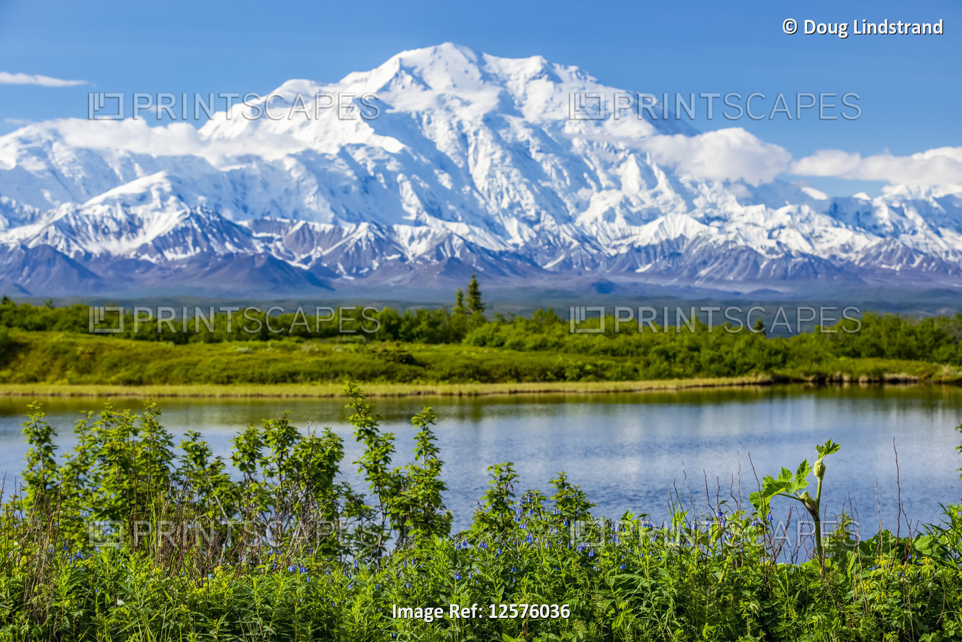 View of Denali and Reflection Pond taken from the park road while driving to ...