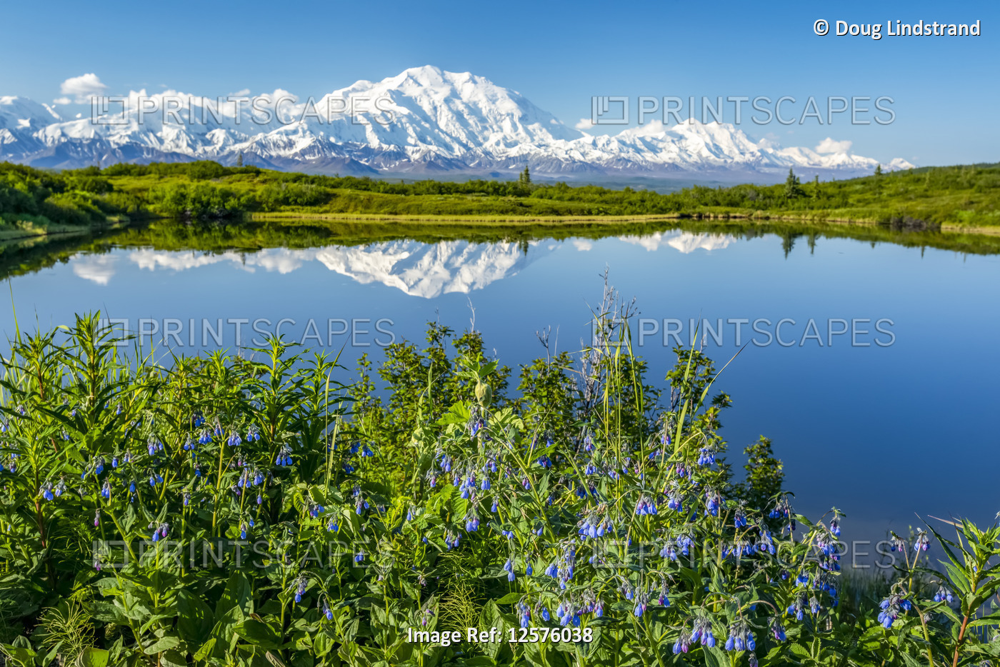 View of Denali and it's reflection in Reflection Pond taken from the park road ...