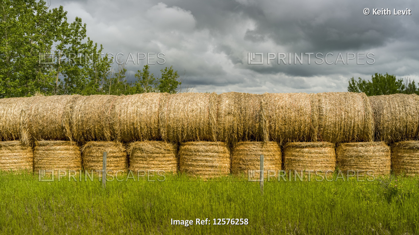 Piled hay bales; Alberta, Canada