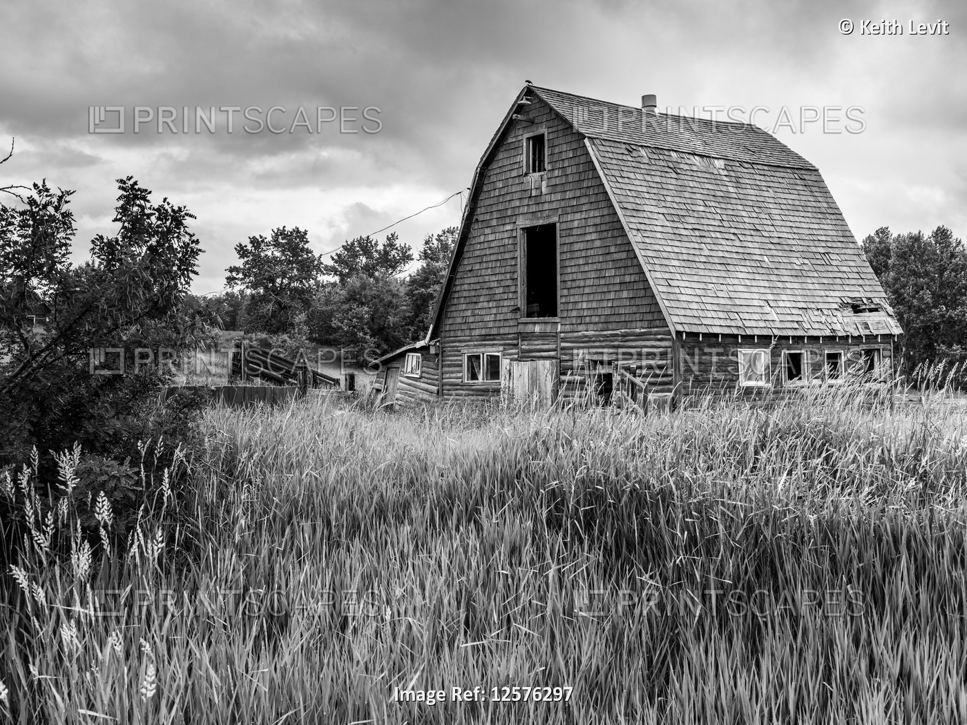 Old barn on the Canadian Prairies, Parkland County; Alberta, Canada