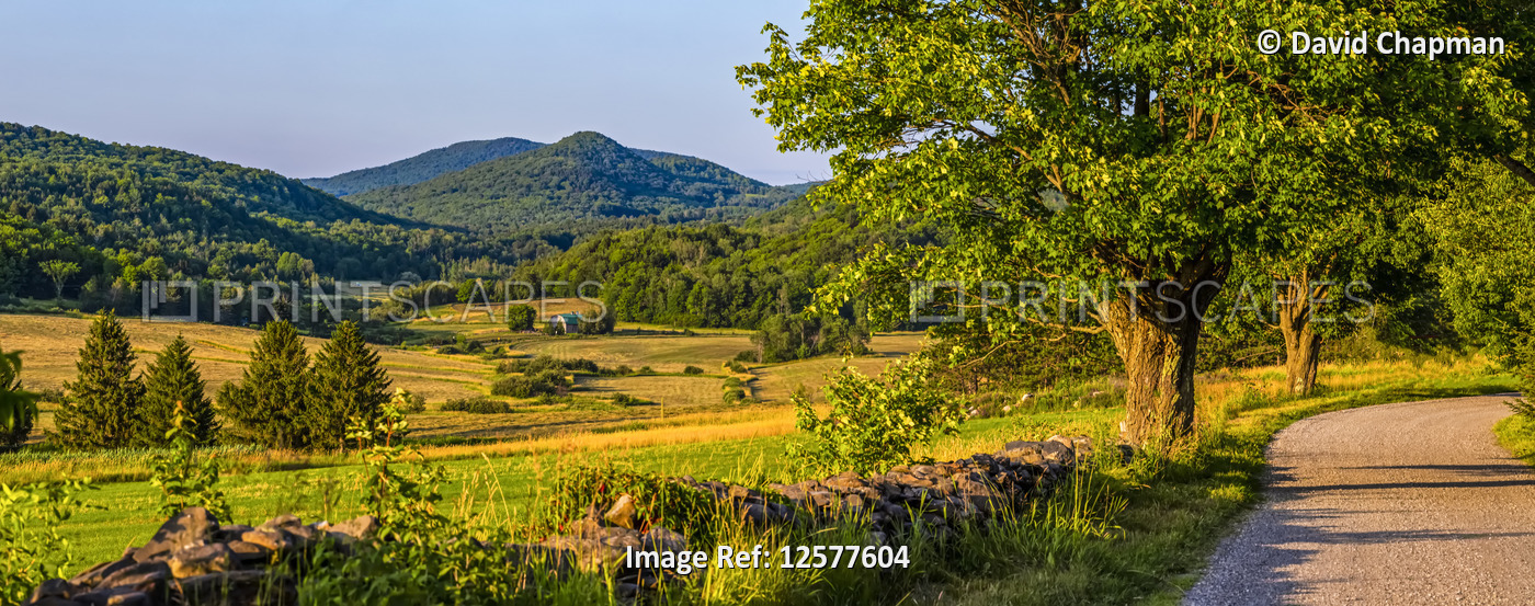 Country road with lush trees and hills; Cowansville, Quebec, Canada